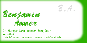 benjamin ammer business card