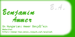 benjamin ammer business card